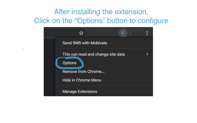 Send SMS with Mobivate  from Chrome web store to be run with OffiDocs Chromium online