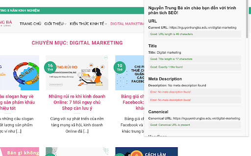 SEO Analyzer by Nguyen Trung Ba  from Chrome web store to be run with OffiDocs Chromium online