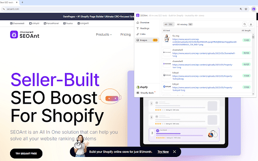 SEOAnt Website SEO Checker  from Chrome web store to be run with OffiDocs Chromium online