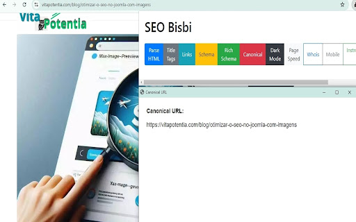SEO Bisbi  from Chrome web store to be run with OffiDocs Chromium online
