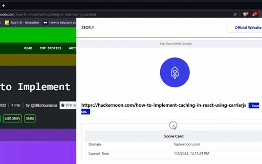 SEOFLY On Page SEO  from Chrome web store to be run with OffiDocs Chromium online