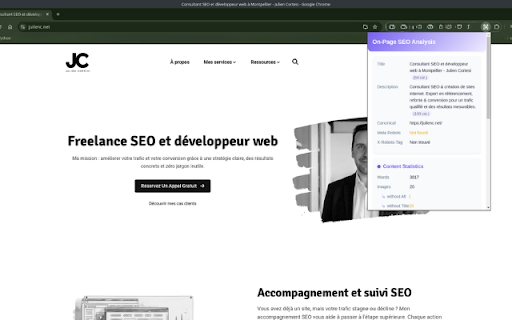 SEO Insights: On Page Analyzer  Exporter  from Chrome web store to be run with OffiDocs Chromium online