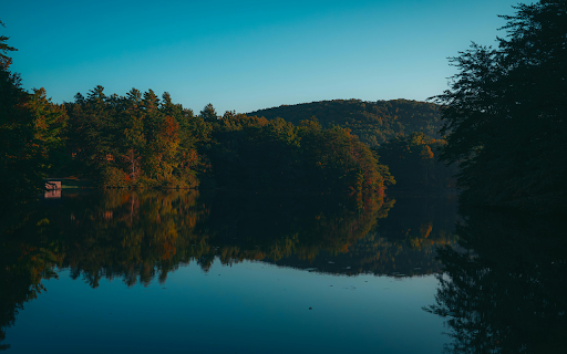Serene Lake Landscape with Forest Reflections at Dawn  from Chrome web store to be run with OffiDocs Chromium online