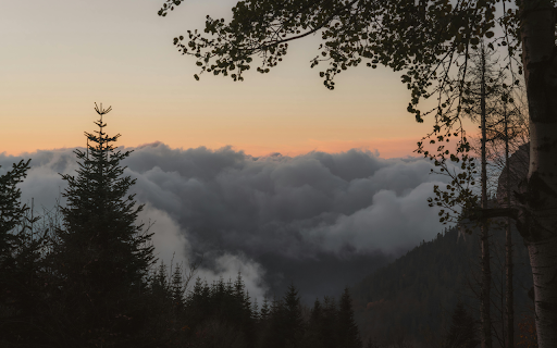 Serene Mountain Sunset with Clouded Forest View  from Chrome web store to be run with OffiDocs Chromium online