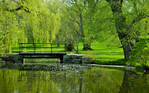 Serene Park Bridge  from Chrome web store to be run with OffiDocs Chromium online