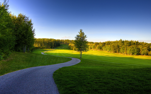 Serene Path Through Green  from Chrome web store to be run with OffiDocs Chromium online