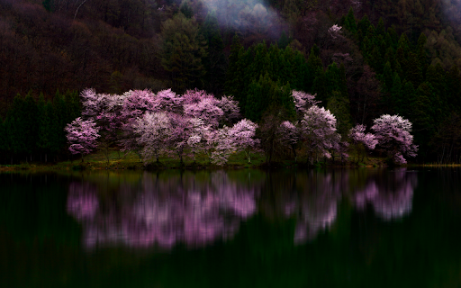 Serene Reflection  from Chrome web store to be run with OffiDocs Chromium online
