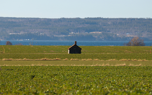 Serene Rural Landscape in Sweden  from Chrome web store to be run with OffiDocs Chromium online