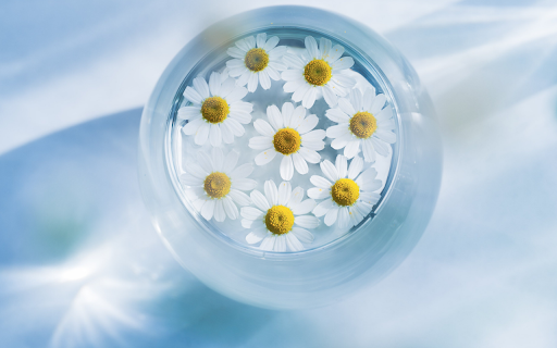 Serenity in a Glass  from Chrome web store to be run with OffiDocs Chromium online