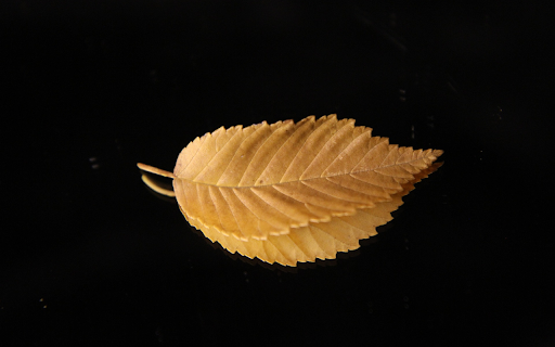 Serrated yellow leaves  from Chrome web store to be run with OffiDocs Chromium online
