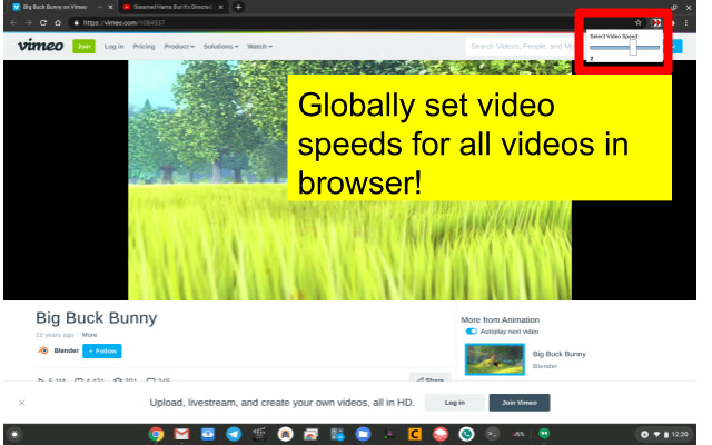 Set Video Speed Globally  from Chrome web store to be run with OffiDocs Chromium online