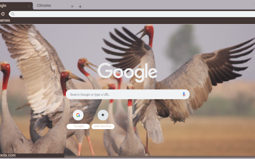 Seu  from Chrome web store to be run with OffiDocs Chromium online