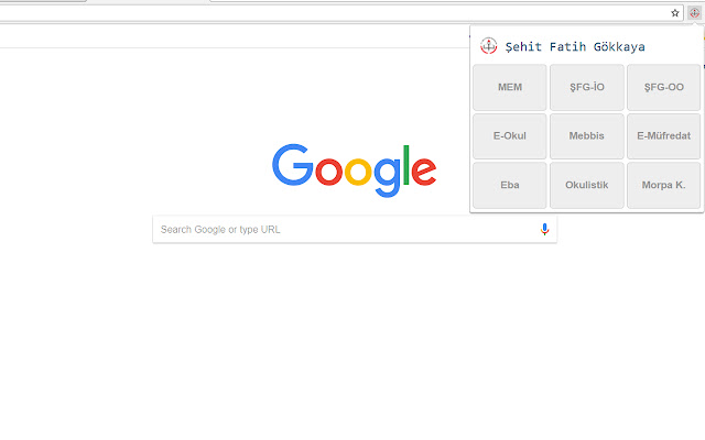 sfg_extension  from Chrome web store to be run with OffiDocs Chromium online