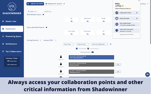 Shadowinner Web Extension  from Chrome web store to be run with OffiDocs Chromium online