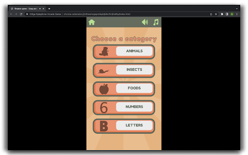 Shadow Matching Educational Game  from Chrome web store to be run with OffiDocs Chromium online