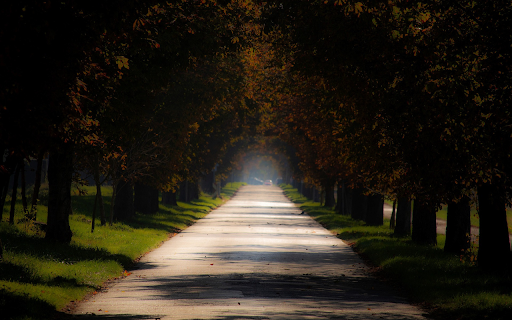 shady road  from Chrome web store to be run with OffiDocs Chromium online