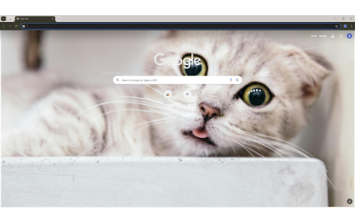 Shallow Focus Photography Of Cat  from Chrome web store to be run with OffiDocs Chromium online