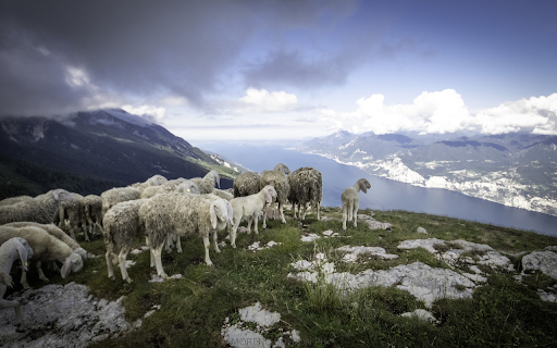 Sheep climbing mountains  from Chrome web store to be run with OffiDocs Chromium online
