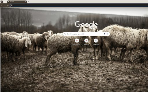 Sheep grazing on an artistically crafted  from Chrome web store to be run with OffiDocs Chromium online