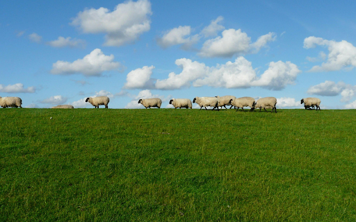 Sheep Meadow Serenity Theme  from Chrome web store to be run with OffiDocs Chromium online