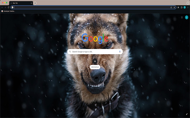 Shepsky Mix New Tab  from Chrome web store to be run with OffiDocs Chromium online