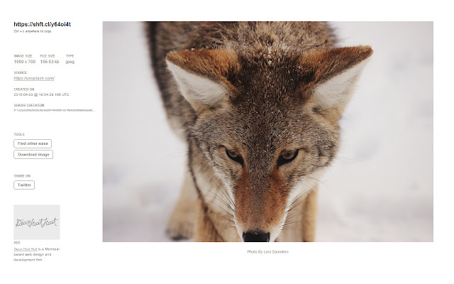 Shift Click Image Extractor  from Chrome web store to be run with OffiDocs Chromium online