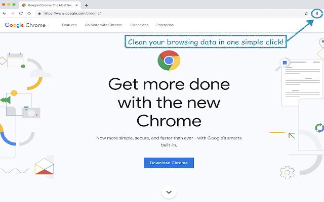 Shiny Browser Data  from Chrome web store to be run with OffiDocs Chromium online