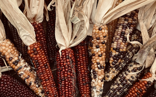 Shiny old corn cobs  from Chrome web store to be run with OffiDocs Chromium online
