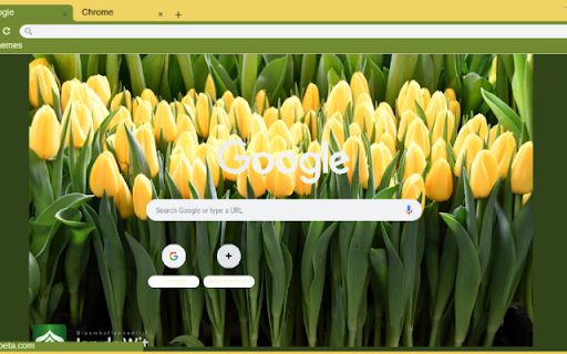 Shooting Star  from Chrome web store to be run with OffiDocs Chromium online