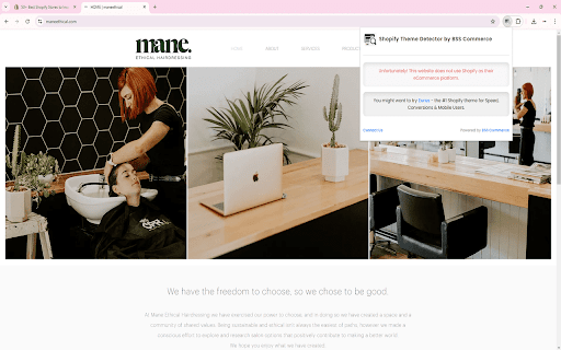 Shopify Theme Detector by BSS Commerce  from Chrome web store to be run with OffiDocs Chromium online