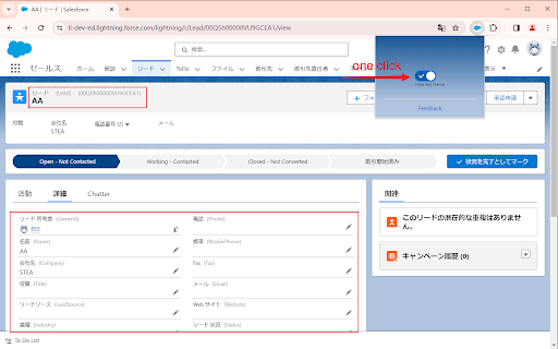 Show Api Name  from Chrome web store to be run with OffiDocs Chromium online