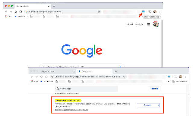 Show Full URL Flag  from Chrome web store to be run with OffiDocs Chromium online