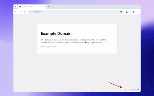 Show IP – Live View of Website IPs for Developers  from Chrome web store to be run with OffiDocs Chromium online