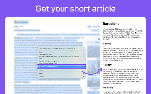 Shrt.txt — Summarize text, shorten any text  from Chrome web store to be run with OffiDocs Chromium online