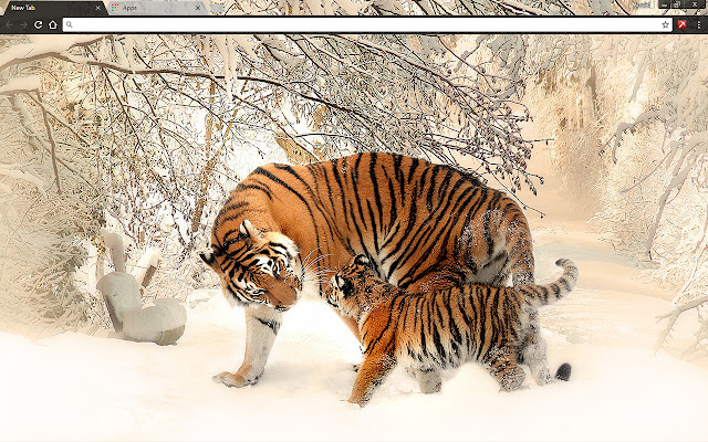 Siberian Tigers  from Chrome web store to be run with OffiDocs Chromium online