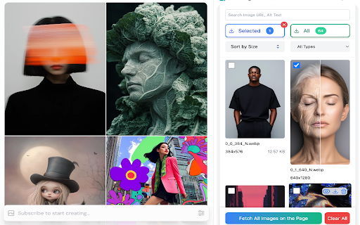 Side panel image download  from Chrome web store to be run with OffiDocs Chromium online