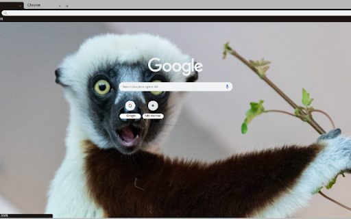 Sifaka  from Chrome web store to be run with OffiDocs Chromium online