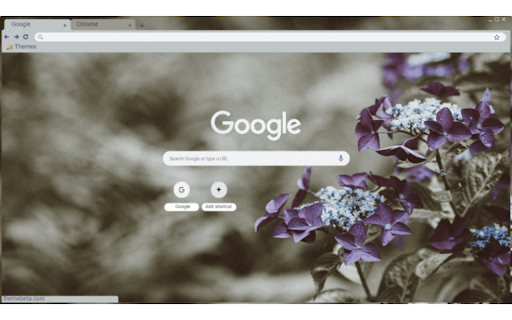 silent purple  from Chrome web store to be run with OffiDocs Chromium online