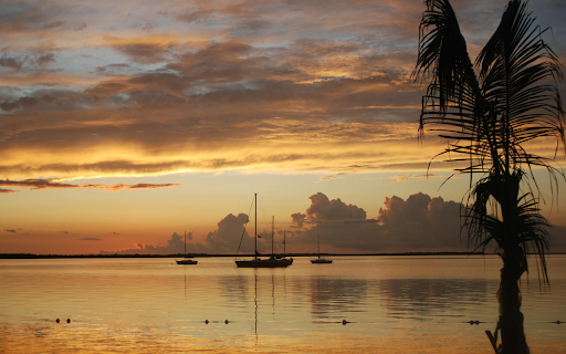 Silhouette Of Boats  from Chrome web store to be run with OffiDocs Chromium online
