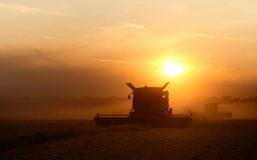 Silhouette of Heavy Equipment during Sunset  from Chrome web store to be run with OffiDocs Chromium online