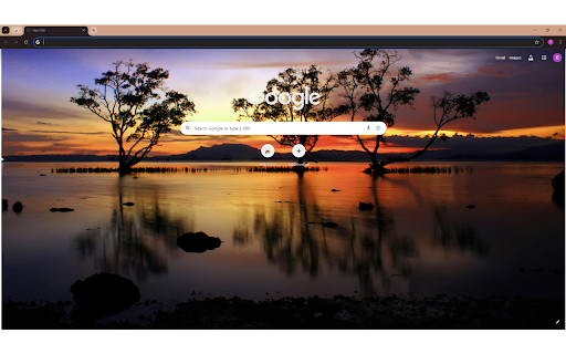 Silhouette of Trees Near Body of Water  from Chrome web store to be run with OffiDocs Chromium online