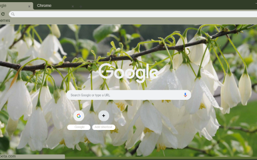 Silverbell  from Chrome web store to be run with OffiDocs Chromium online