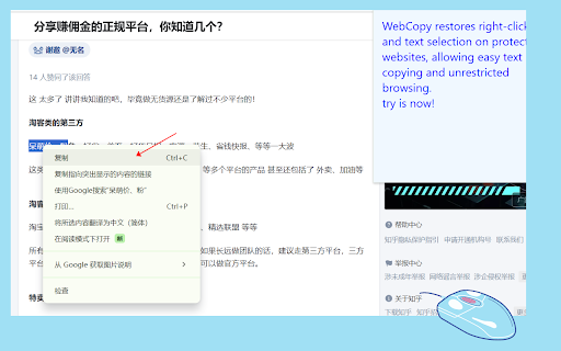 simple web copy  from Chrome web store to be run with OffiDocs Chromium online