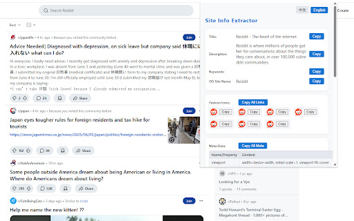 网站信息提取器 / Site Info Extractor  from Chrome web store to be run with OffiDocs Chromium online