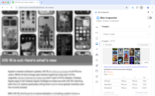 Site Inspector  from Chrome web store to be run with OffiDocs Chromium online