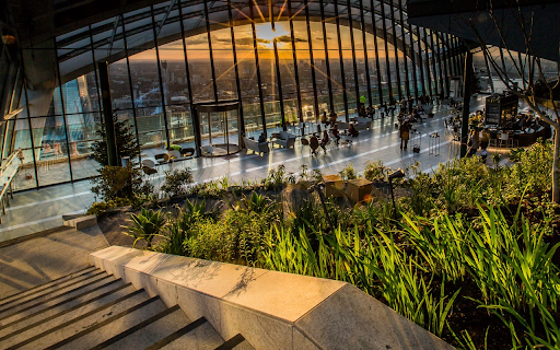 Sky Garden  from Chrome web store to be run with OffiDocs Chromium online