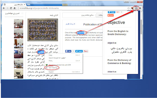 SLA Dictionary  from Chrome web store to be run with OffiDocs Chromium online