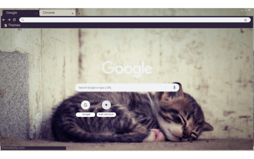 sleeping baby cat  from Chrome web store to be run with OffiDocs Chromium online