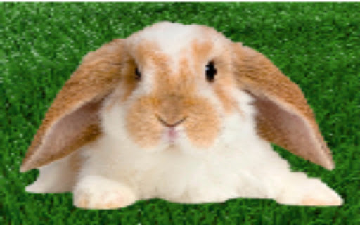 Smack Da Rat Not Da Rabbit Full Screen 2025  from Chrome web store to be run with OffiDocs Chromium online