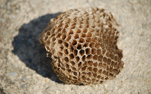 Small beehive  from Chrome web store to be run with OffiDocs Chromium online